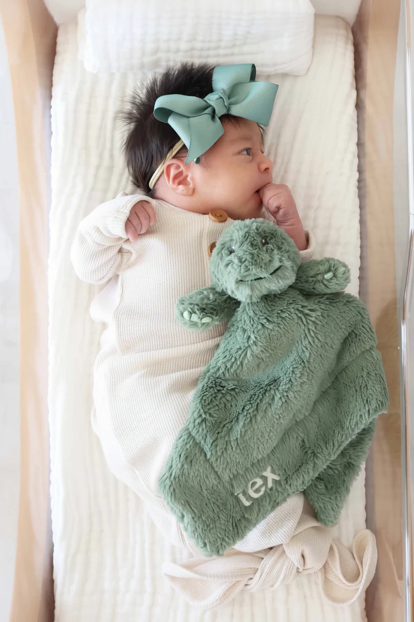 Cuddle Plush Friends | Lovey - Image 9
