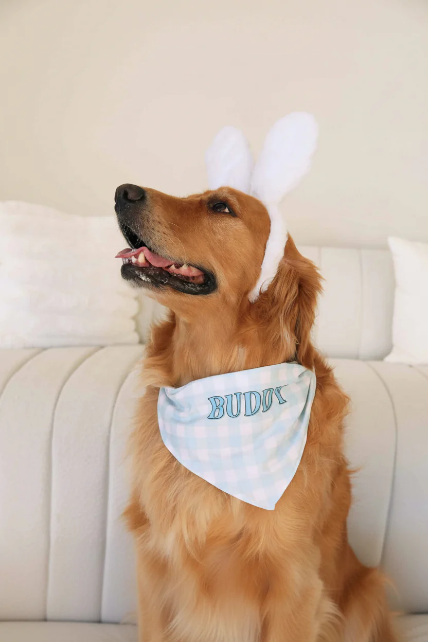Hoppy Spring Personalized Pet Bandana | Blue - Image 4