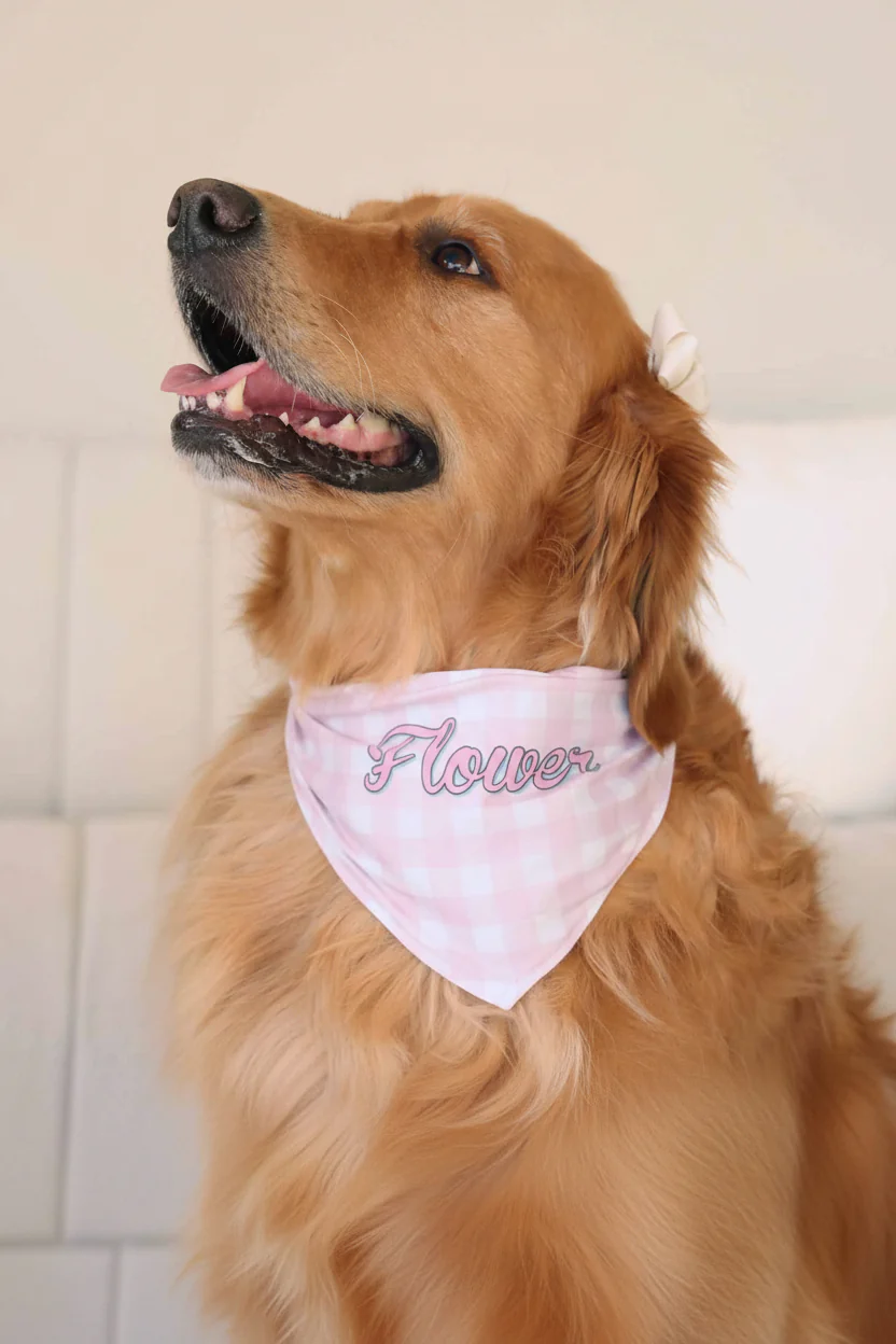 Hoppy Spring Personalized Pet Bandana | Pink - Image 4