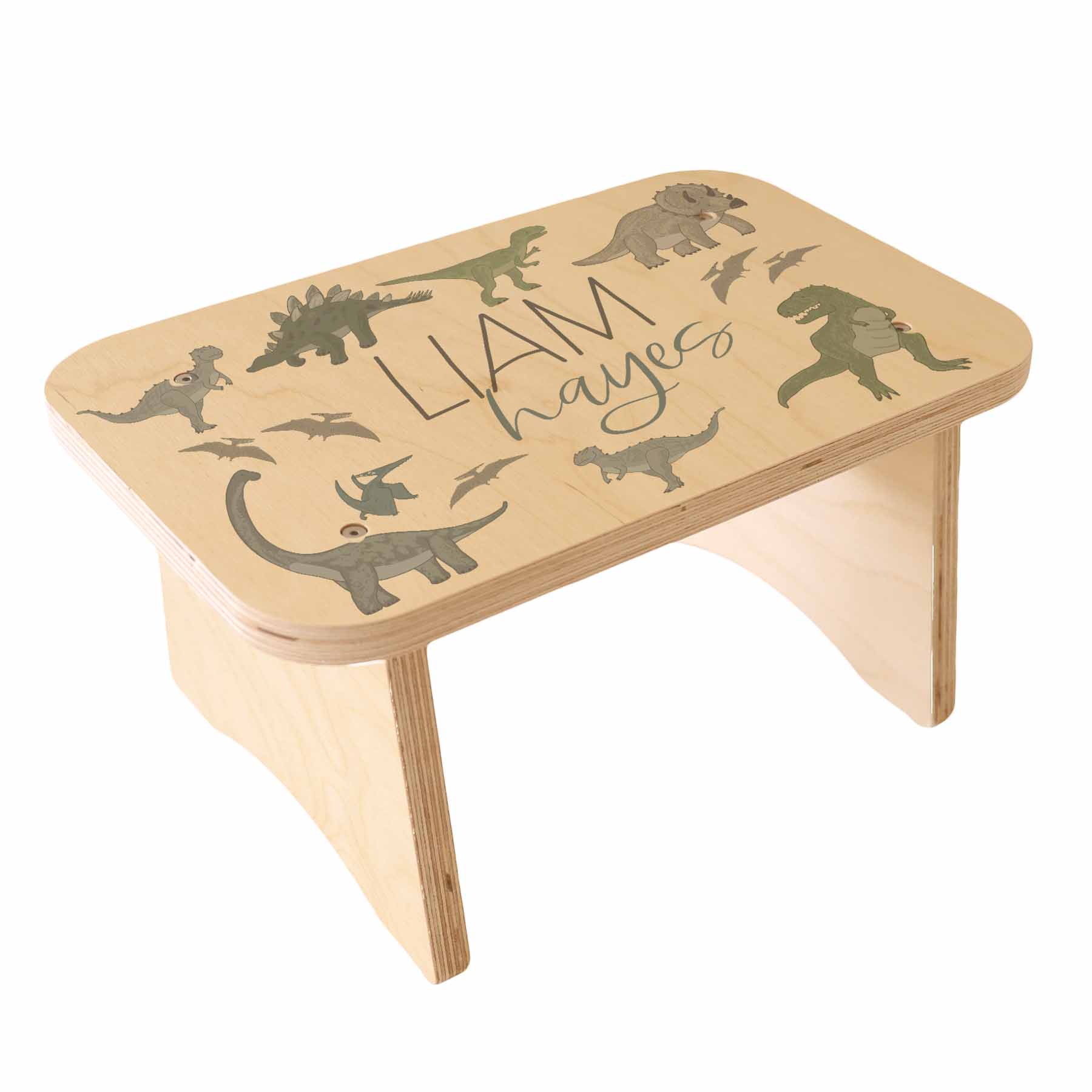 Kids Personalized Step Stool | Dinosaur Friends - Image 2