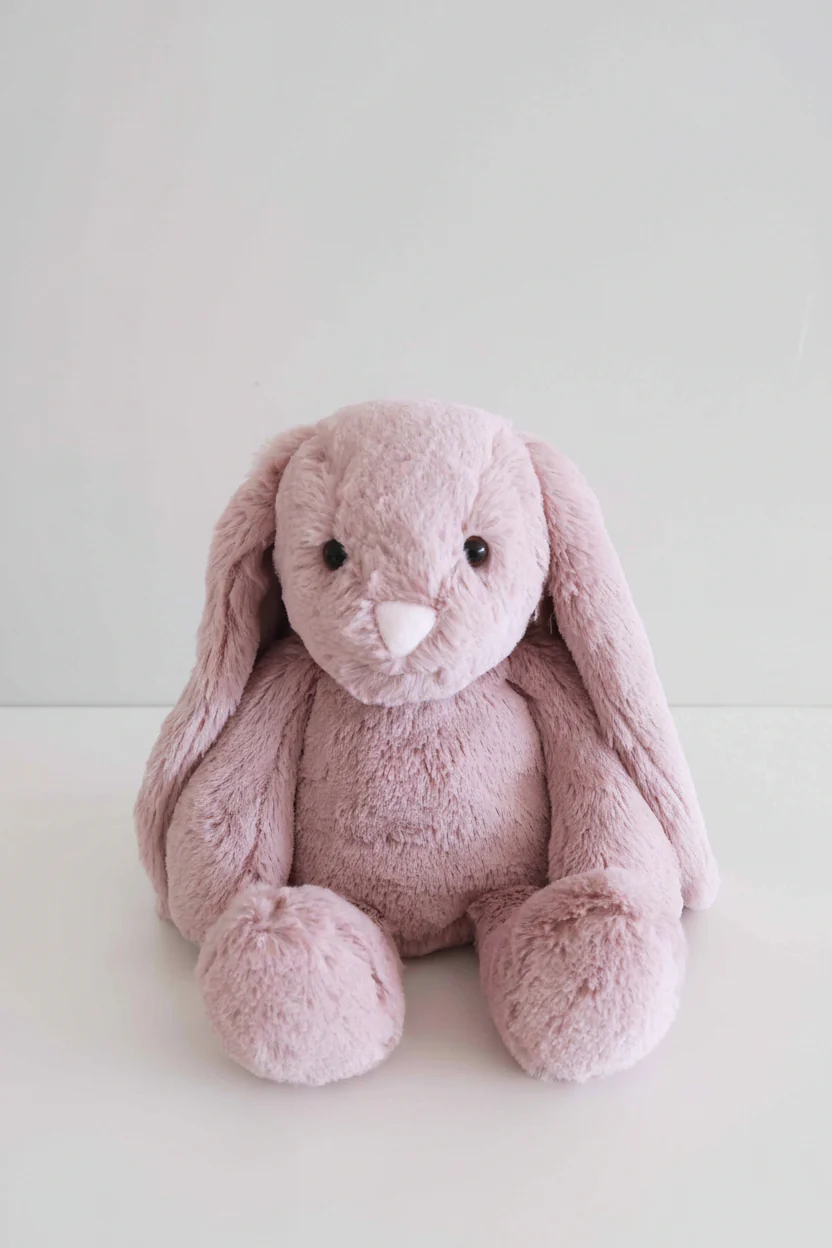 Large Cuddle Plush Friends | Honey Bunny - Image 13