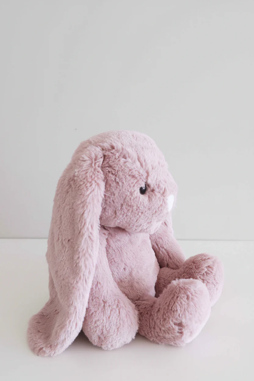 Large Cuddle Plush Friends | Honey Bunny - Image 15