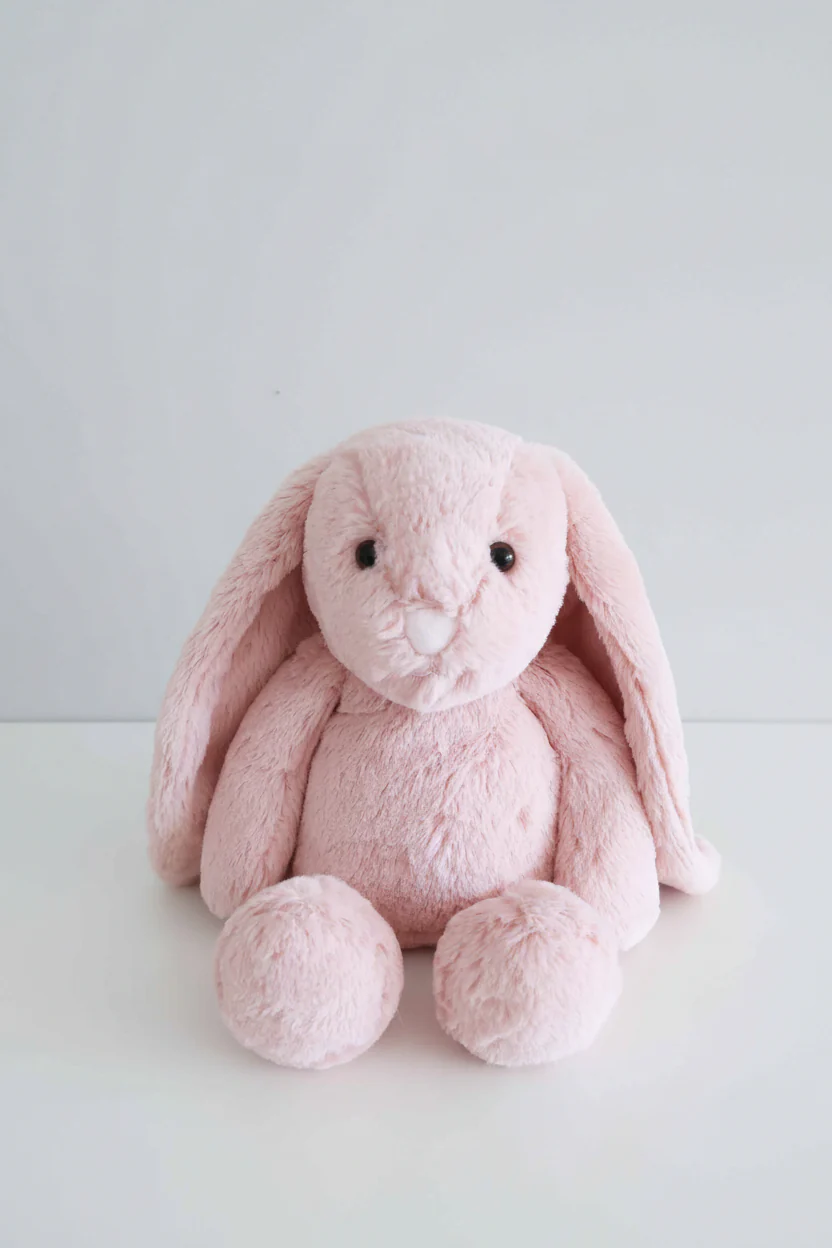 Large Cuddle Plush Friends | Honey Bunny - Image 3