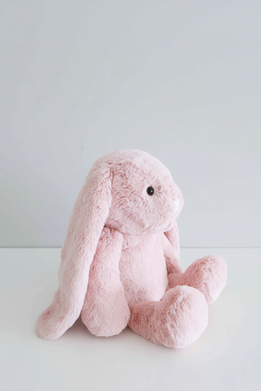 Large Cuddle Plush Friends | Honey Bunny - Image 4