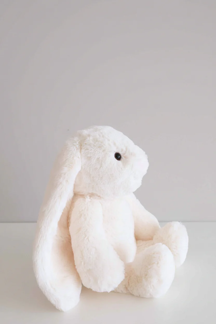 Large Cuddle Plush Friends | Honey Bunny - Image 9