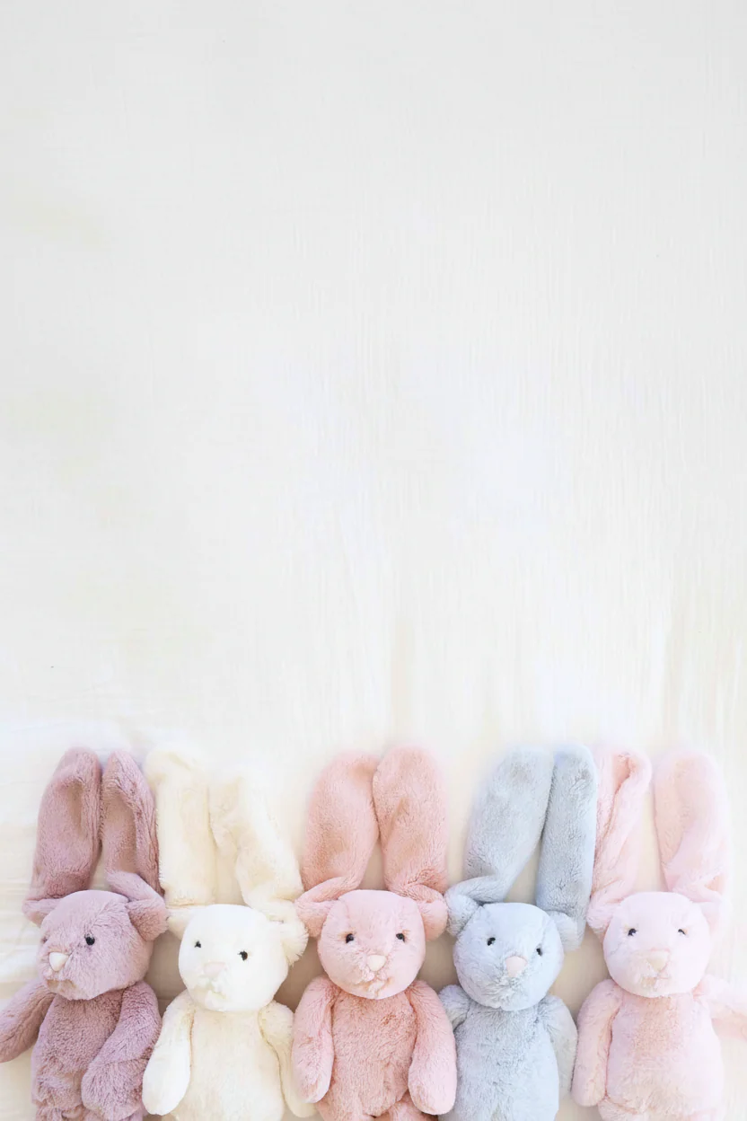 Embroidered Large Cuddle Plush Friends | Honey Bunny - Image 2