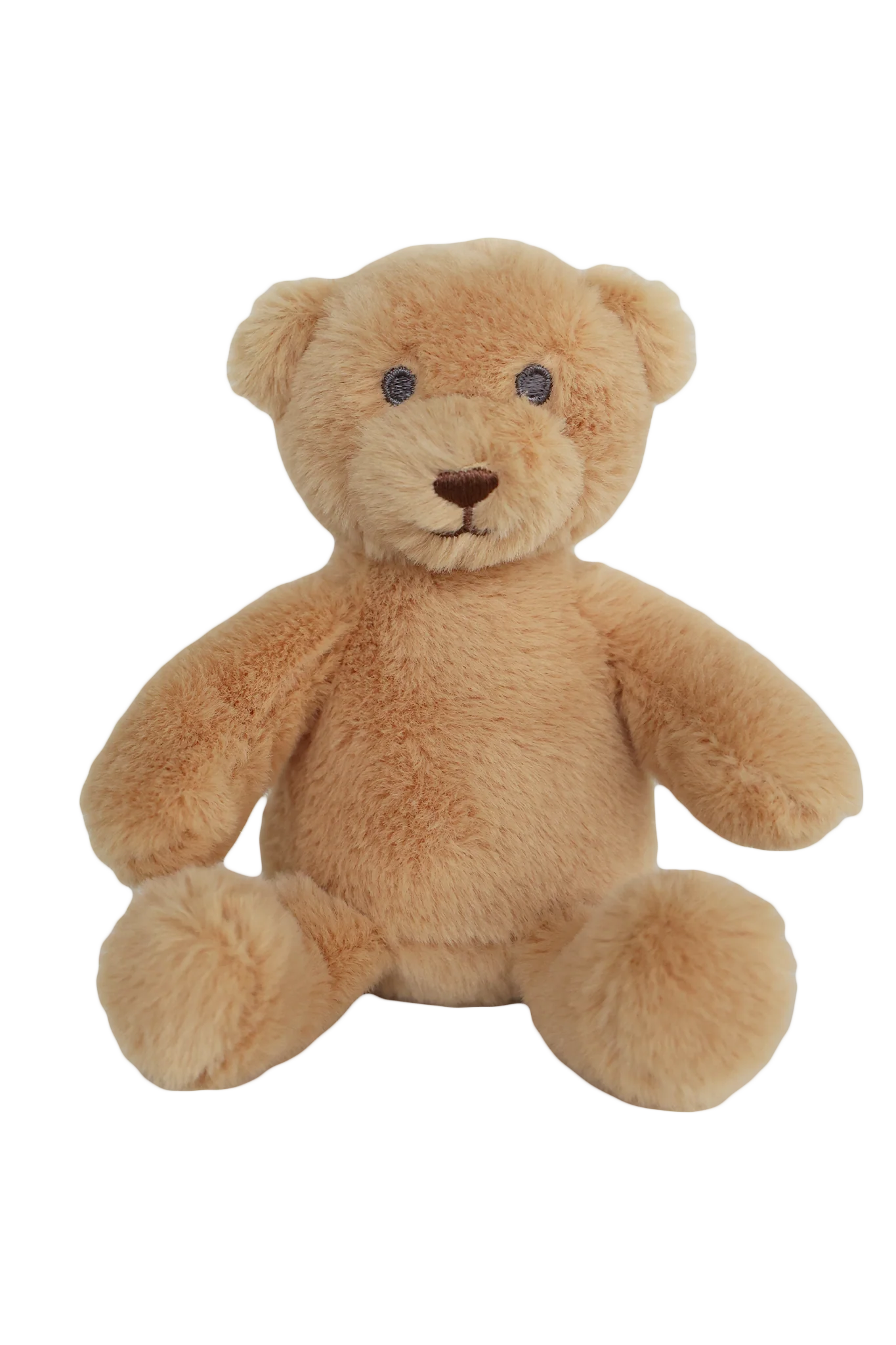 Mini Cuddle Plush Friends | Bodhi Bear
