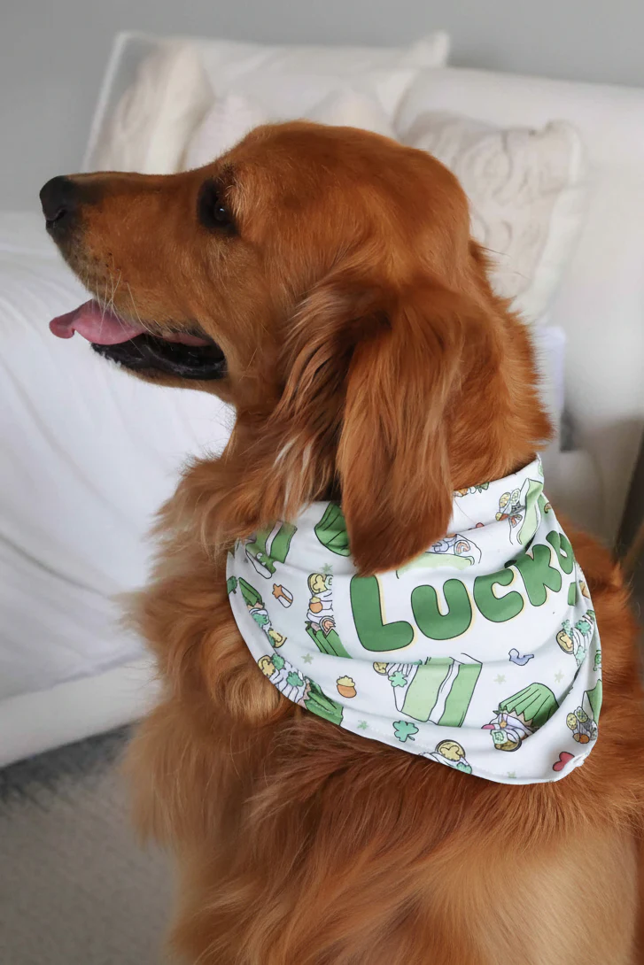 Shamrock Sweets Personalized Pet Bandana - Image 3