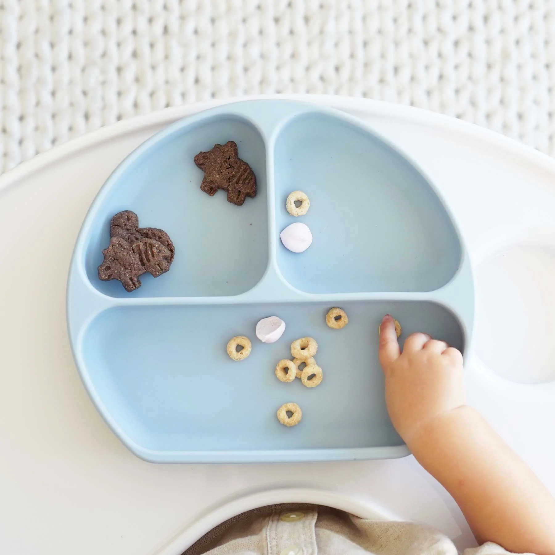 Silicone Suction Plate - Image 13