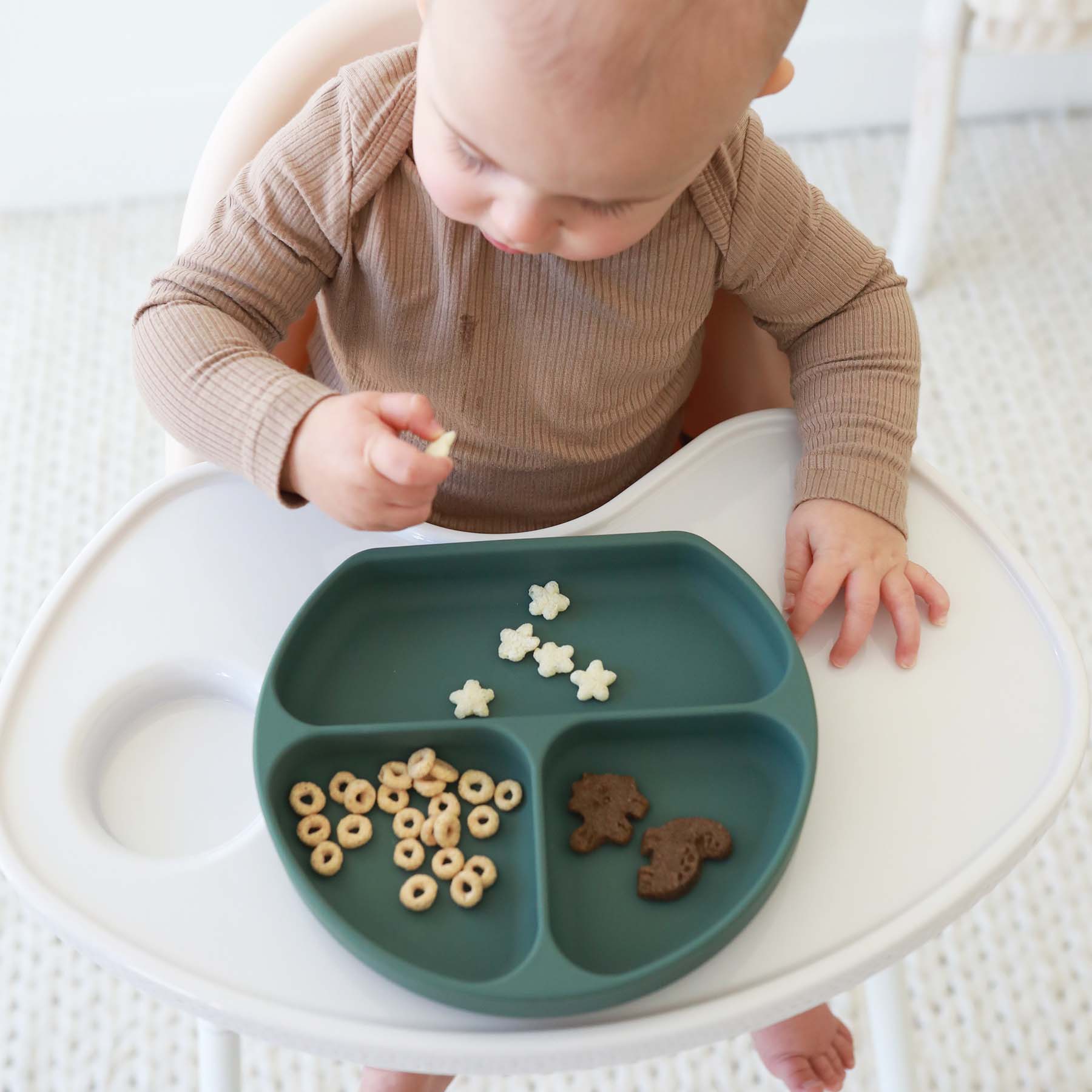 Silicone Suction Plate - Image 18
