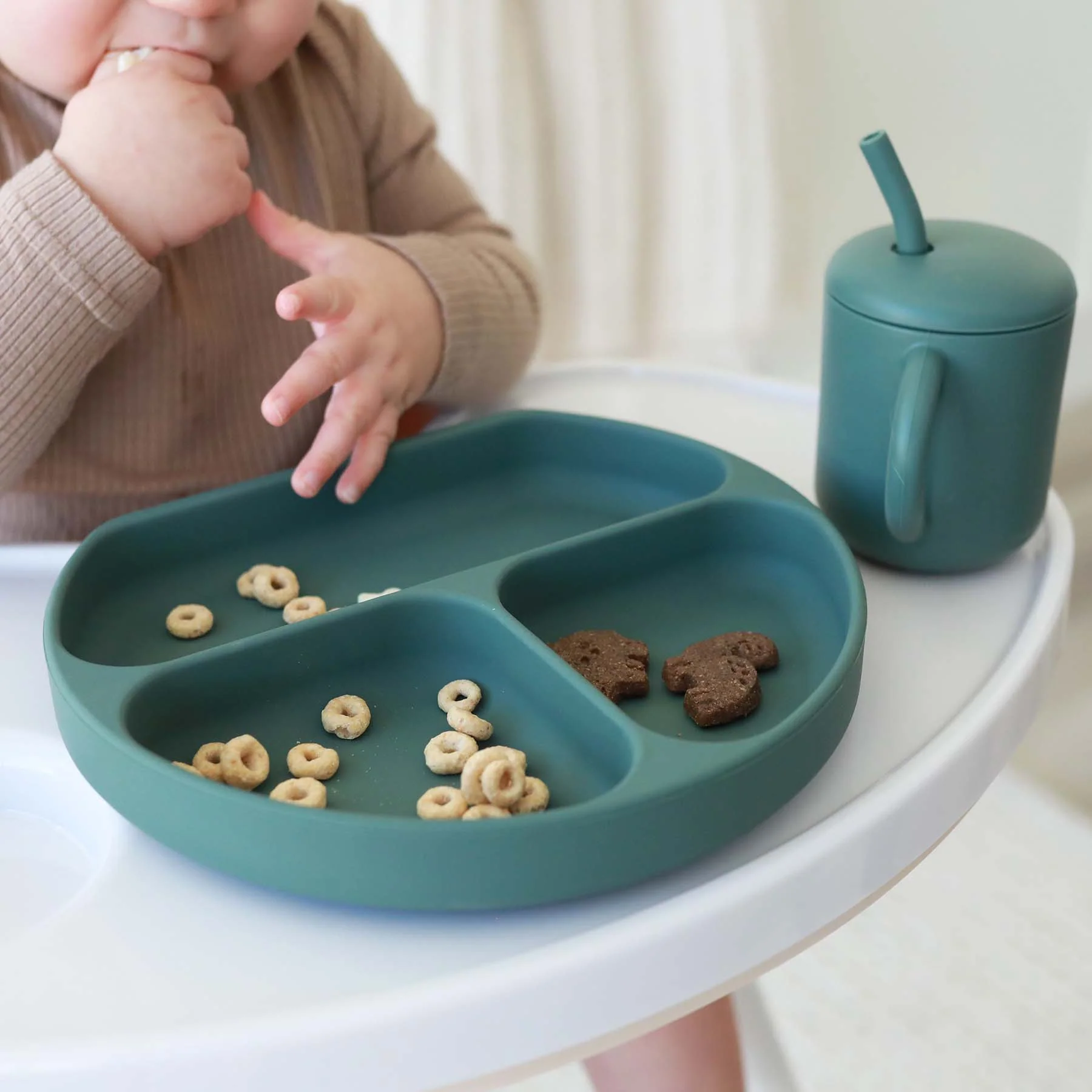Silicone Suction Plate - Image 22